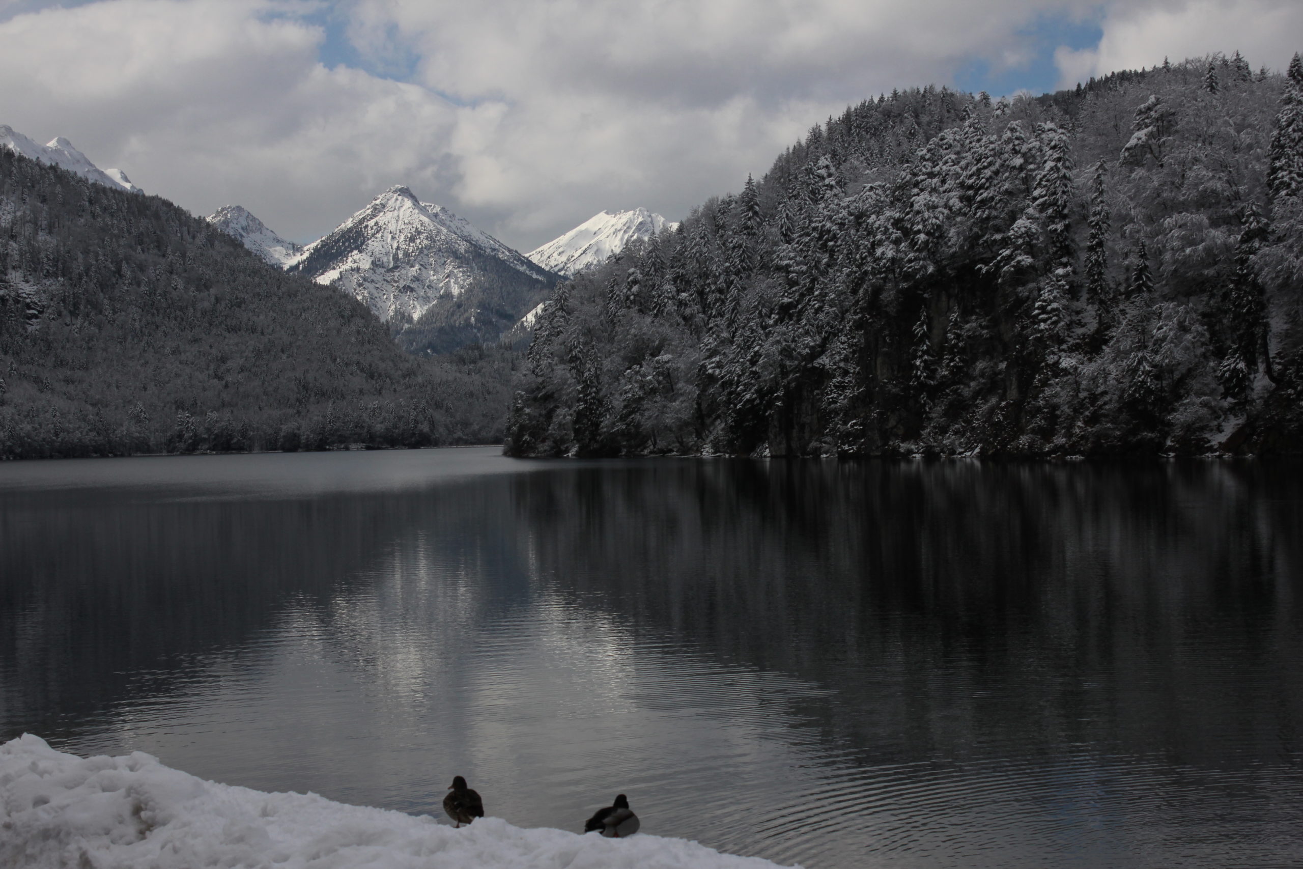 Neuschwanstein Castle Base