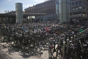 Contrast of bike paths in New York City and Copenhagen