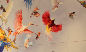 But, you never taught me to…